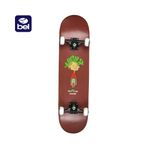Skateboard-Kronik-Comic-Bel
