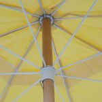 8505--5--copiar.jpg