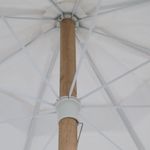 8501--5--copiar.jpg