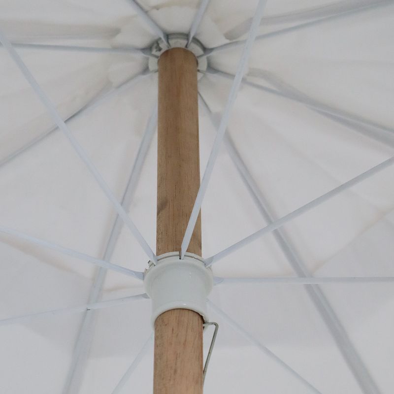 8501--5--copiar.jpg