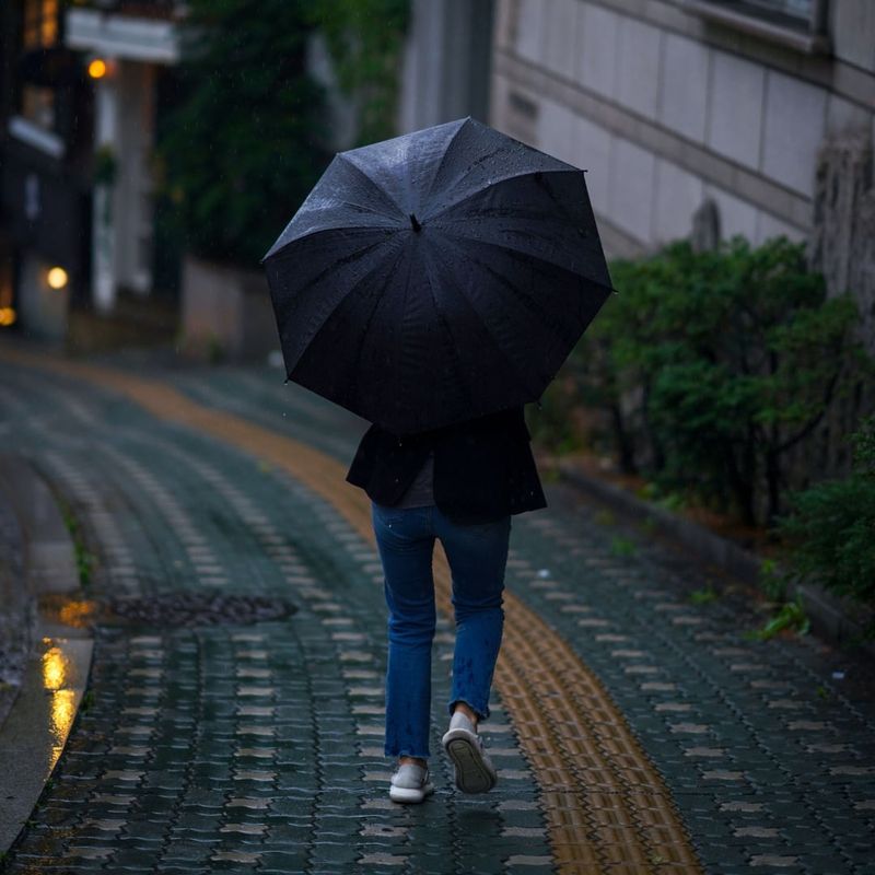 guarda-chuva-automatico-manhattan-preto-punho